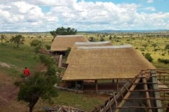 Thatched Shelters