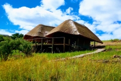 Thatched shelters